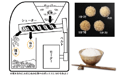 ���ă��[�h