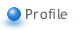 �v���t�B�[��
