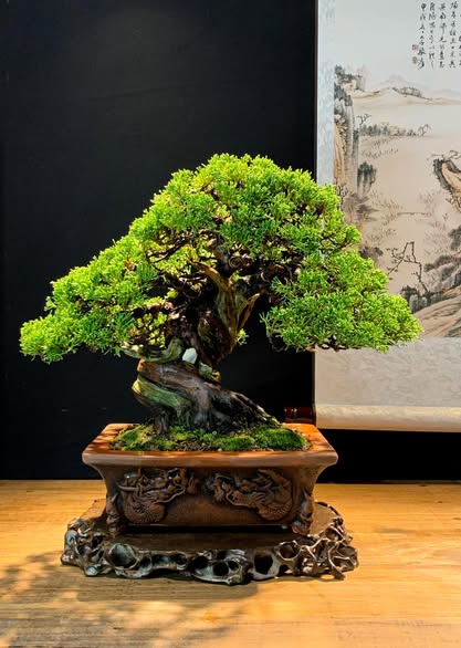 常滑市盆栽鉢製造 角山陶苑 常滑焼窯元