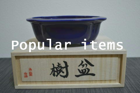 Handmade bonsai pot, 13 cm, Maker: Kakuzan