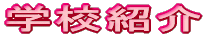 wZЉ
