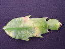 ۗޔQE10