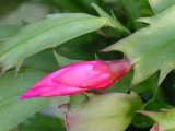 i햼EAh_