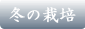 冬の栽培