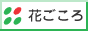 Ԃ