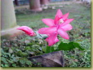 INo,9