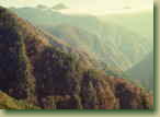 kamimura
