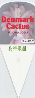 f}[NJN^XEC[W摜