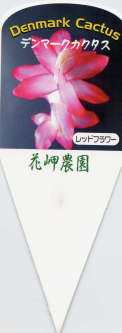 i햼Ebht[