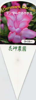 i햼E^Cz[
