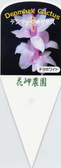 i햼E`^zCg