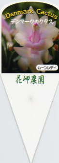 i햼E[fB[