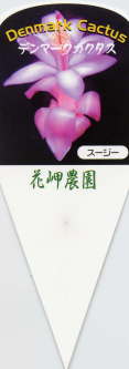i햼EX[W[