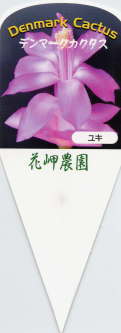 i햼EL