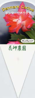 i햼ELObh