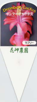 i햼Eu[