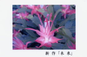 uchida-001